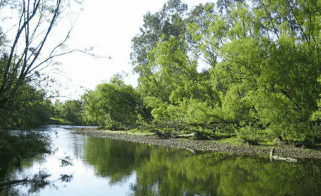 Ribbonwood Cottages - Surfers Gold Coast