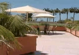 Waldorf Apartment Hotel - Surfers Gold Coast 1