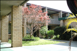 Amg Ryde Sydney - Surfers Gold Coast