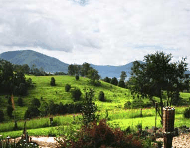 Nimbin Rox YHA - Surfers Gold Coast 1