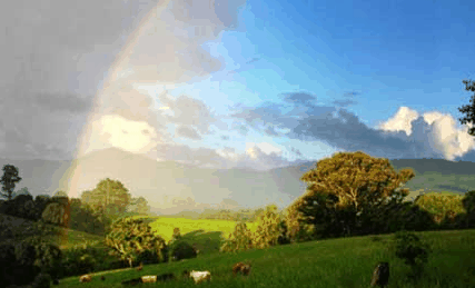 Nimbin Rox YHA - Surfers Gold Coast 3