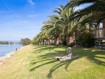 Riverbreeze Tourist Park - Surfers Gold Coast 2