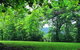 Misty Mountain Retreat - thumb 0