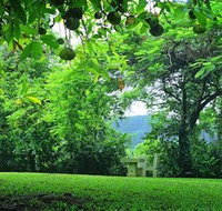 Misty Mountain Retreat - Surfers Gold Coast