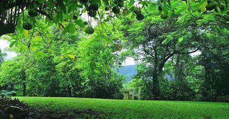 Misty Mountain Retreat - Surfers Gold Coast 0