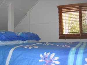 Acacia Dreaming At Light On Retreat - Surfers Gold Coast 1