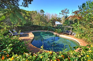 Acacia Dreaming At Light On Retreat - Surfers Gold Coast 3