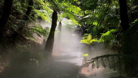 Australian National Botanic Gardens - Surfers Gold Coast 4