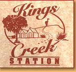 Kings Creek Station - Surfers Gold Coast