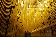 State Theatre Centre - Surfers Gold Coast