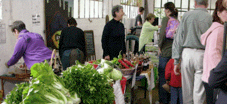 Perth City Farm Organic Markets - Surfers Gold Coast 2