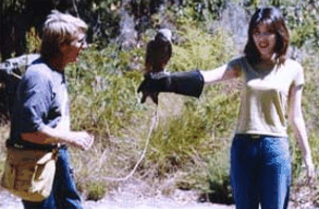 Eagles Heritage Raptor Wildlife Centre - Surfers Gold Coast 2