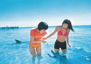  Surfers Gold Coast
