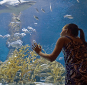 The Aquarium of Western Australia - Surfers Gold Coast