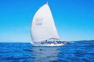 Manly Harbour Village - Surfers Gold Coast