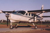 Skydive Express - Surfers Gold Coast 3
