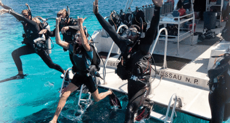 Snorkel Safari Brisbane - Surfers Gold Coast