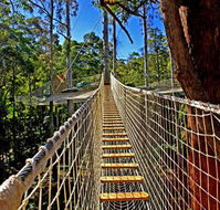 Thunderbird Park - Surfers Gold Coast
