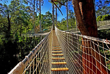Thunderbird Park - Surfers Gold Coast 0