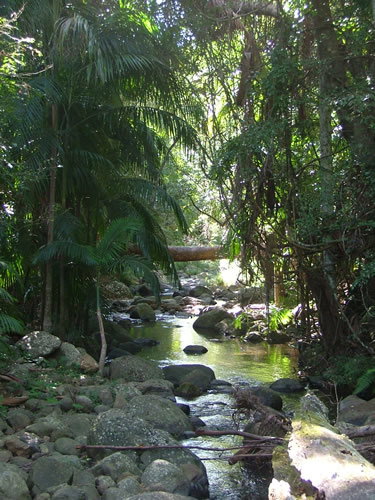 Thunderbird Park - Surfers Gold Coast 2