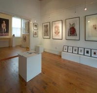 Bird's Gallery - Surfers Gold Coast