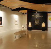 Counihan Gallery In Brunswick - Surfers Gold Coast
