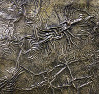 Hawthorn Studio  Gallery - Surfers Gold Coast