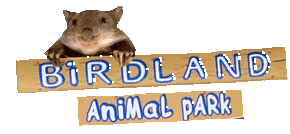 Birdland Animal Park - Surfers Gold Coast