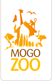 Mogo Zoo - Surfers Gold Coast