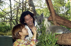 Taronga Zoo - Surfers Gold Coast 2