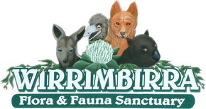 Wirrimbirra Sanctuary - Surfers Gold Coast 0