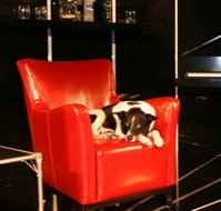 Old Fitzroy Theatre - Surfers Gold Coast