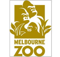 Melbourne Zoo - Surfers Gold Coast