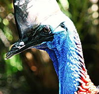 Alma Park Zoo - Surfers Gold Coast