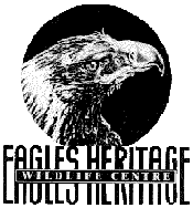 Eagles Heritage - Surfers Gold Coast