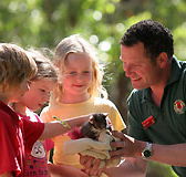 Cleland Wildlife Park - Surfers Gold Coast
