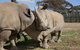Monarto Zoo - thumb 0