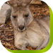 Calmsley Hill City Farm - Surfers Gold Coast 0