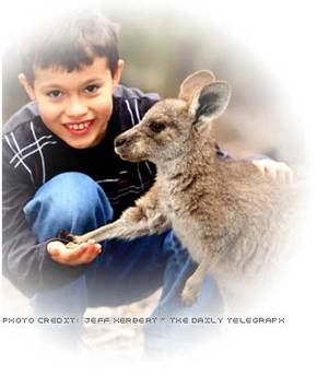 Australia Walkabout Wildlife Park - Surfers Gold Coast 1