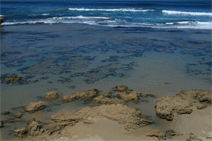 Canberra Contemporary Art Space - Surfers Gold Coast