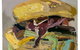 ArtSpace Mackay - thumb 0