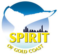 Spirit of Gold Coast Whale Watching - Surfers Gold Coast