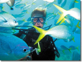 Maxi Ragamuffin - Surfers Gold Coast 3