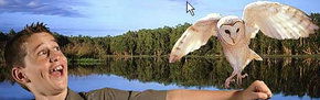 Territory Wildlife Park - Surfers Gold Coast 2