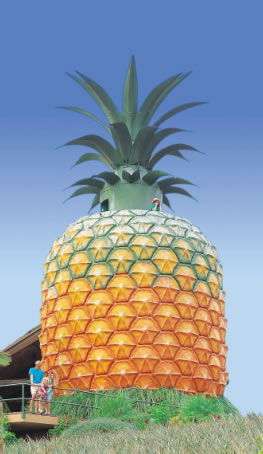 The Big Pineapple - Surfers Gold Coast 0