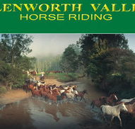 Glenworth Valley Horseriding - Surfers Gold Coast
