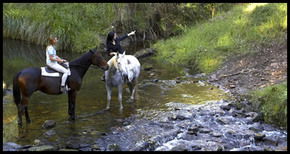 Glenworth Valley Horseriding - Surfers Gold Coast 1