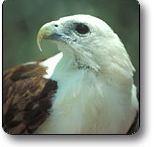 Kakadu National Park - Surfers Gold Coast