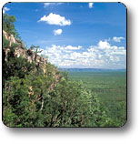 Kakadu National Park - Surfers Gold Coast 2