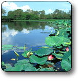 Kakadu National Park - Surfers Gold Coast 3